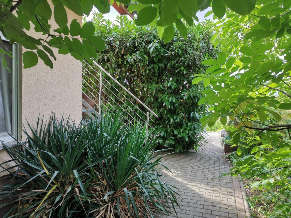 Apartment Am Horstberg 韦尼格罗德 外观 照片